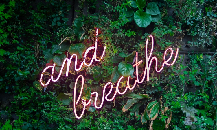 Denny Nesbitt blog post